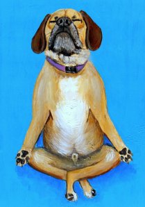 il_570xN.504798820_pxnx